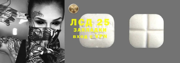 PSILOCYBIN Липки