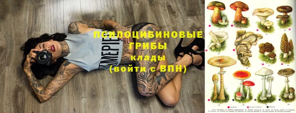 ПСИЛОЦИБИНОВЫЕ ГРИБЫ Лихославль