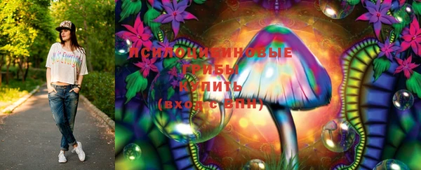 ПСИЛОЦИБИНОВЫЕ ГРИБЫ Лихославль