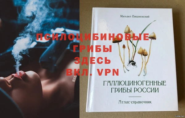 ПСИЛОЦИБИНОВЫЕ ГРИБЫ Лихославль