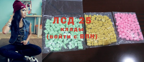 PSILOCYBIN Липки