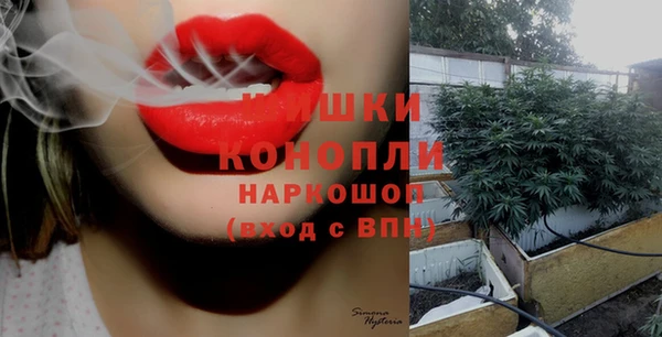 PSILOCYBIN Липки