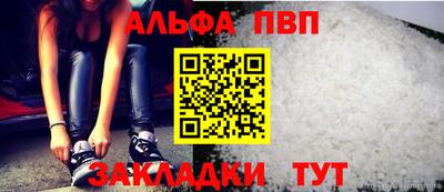 бошки Кингисепп