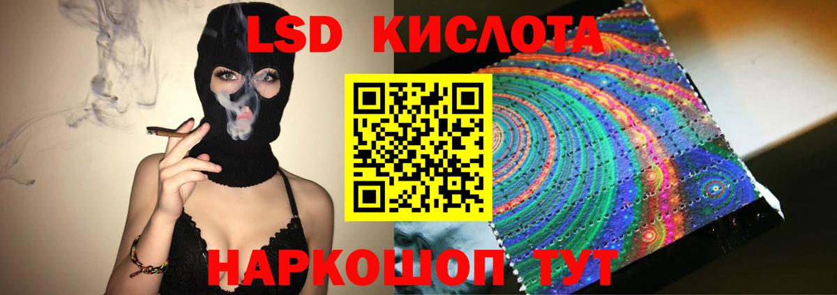  COCAIN Черняховск