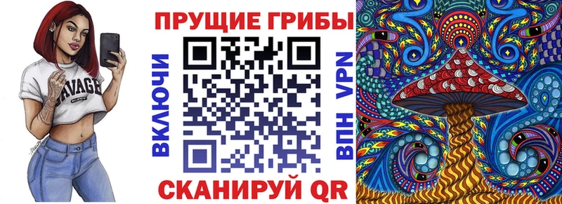 Галлюциногенные грибы мухоморы  blacksprut вход  Черняховск 