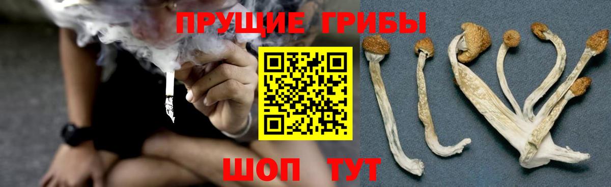Псилоцибиновые грибы мицелий  Вход с VPN  Черняховск 